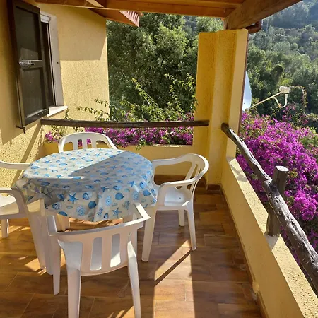 Alessandro&dina's House *